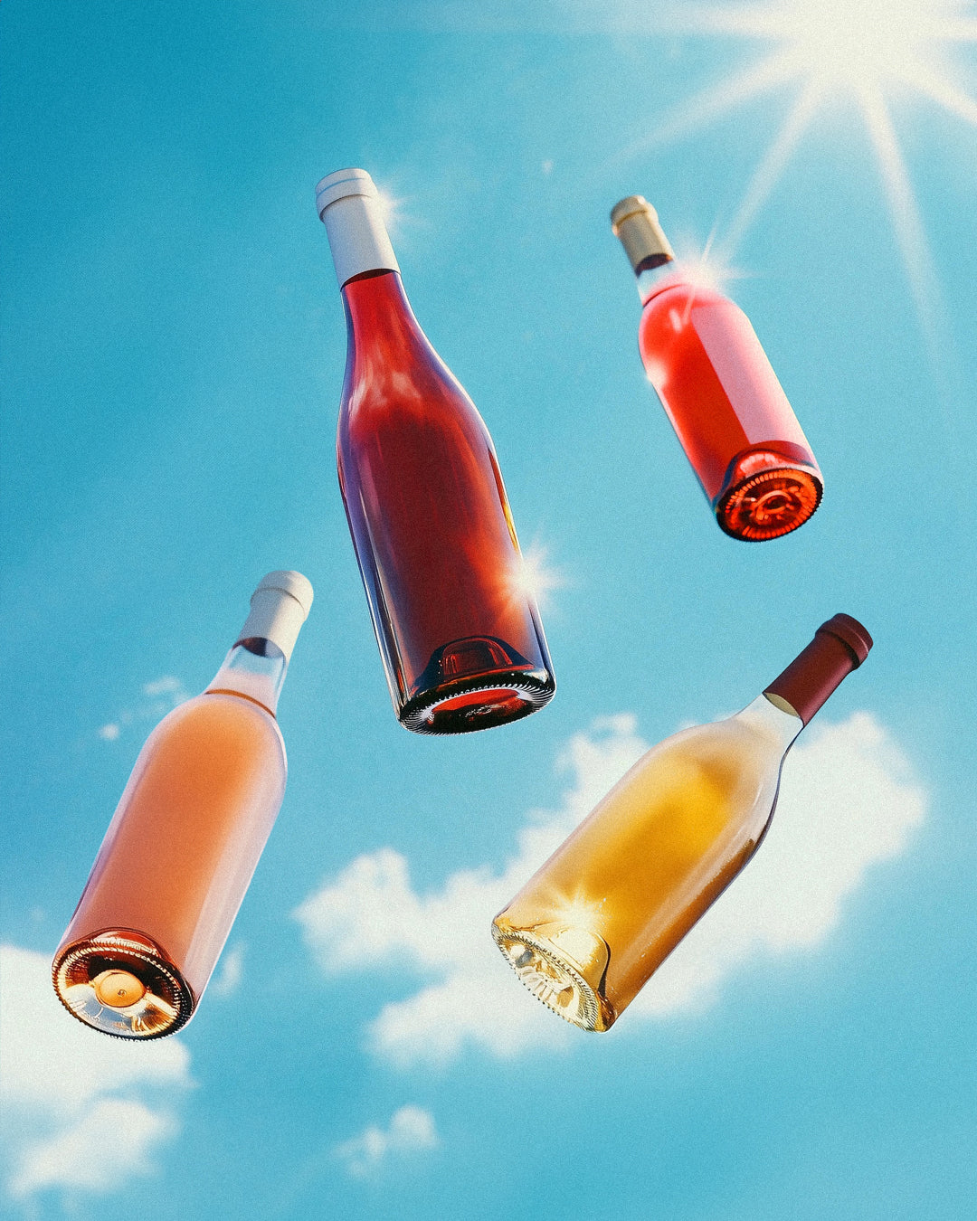Vino Disco Wine Club